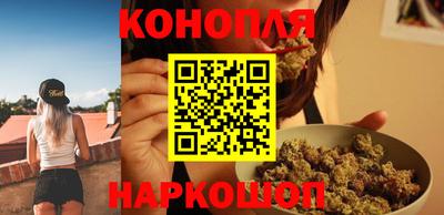 индика Дмитров