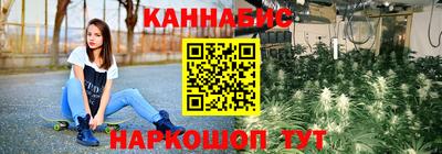 индика Дмитров