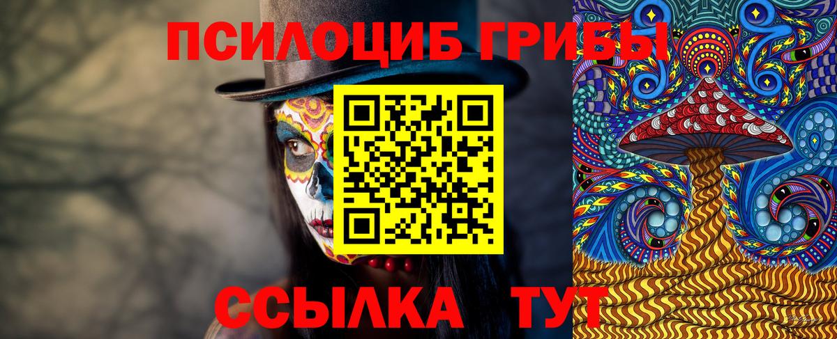 Астрахань  Галлюциногенные грибы Psilocybe  Вход с VPN 